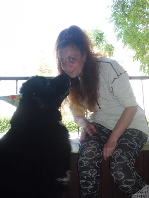 Фото: ньюфаундленд Pitern'yuf CHao-Kakao (Питерньюф Чао-Какао), Lina Troyanskaya (Лина Троянская)