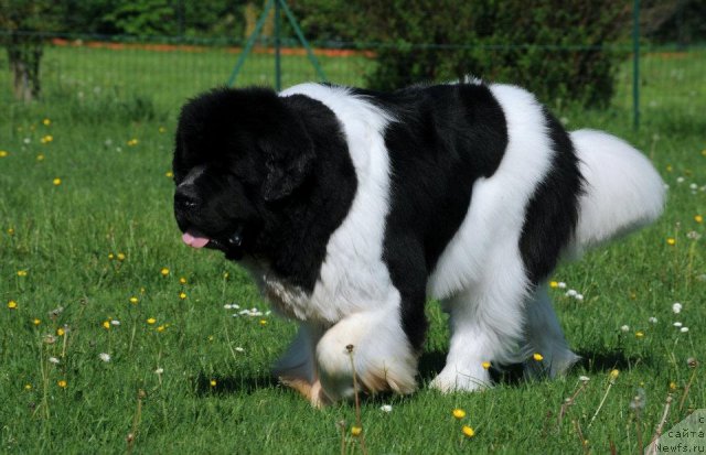 Фотография № 95974