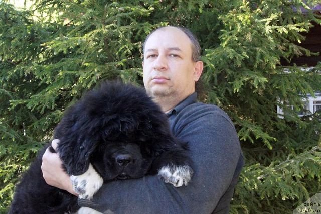 Фотография № 96008