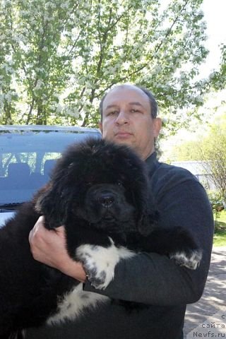 Фотография № 96009