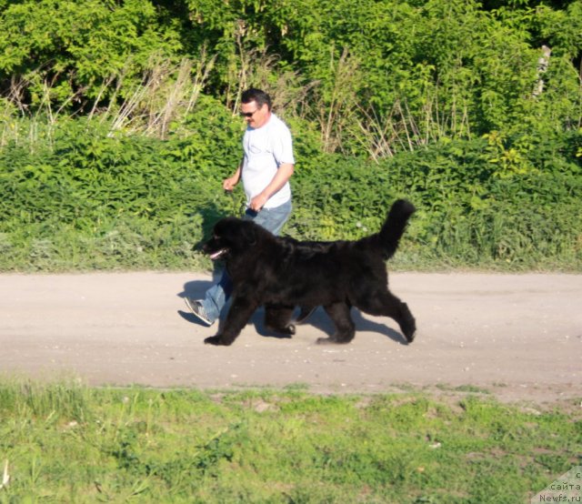 Фотография № 96014