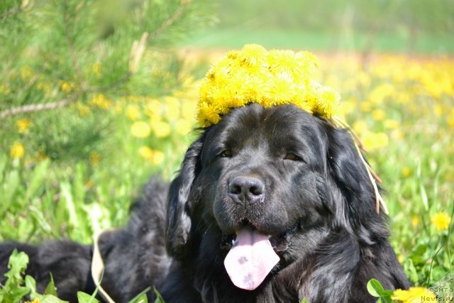 Фотография № 96017