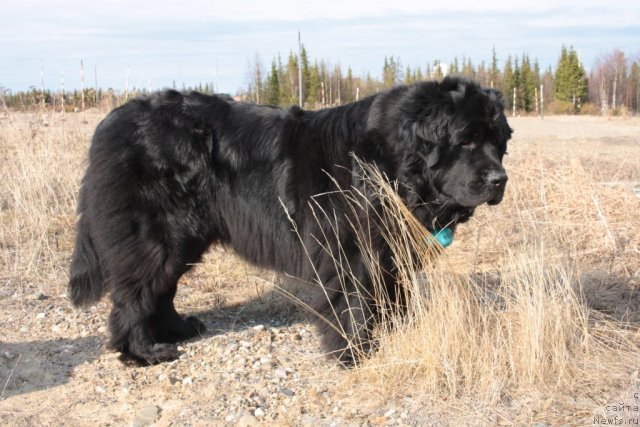 Фотография № 96032