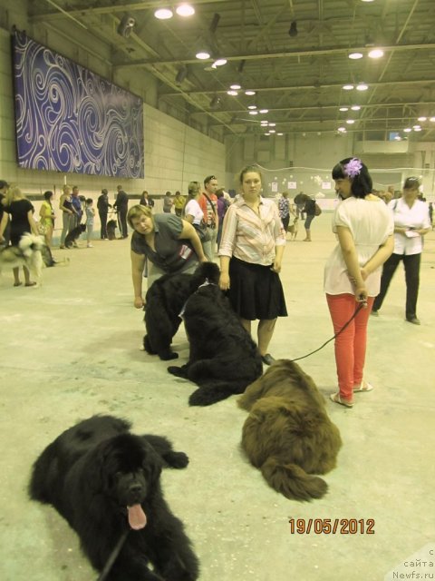 Фото: Ekaterina Plotnikova (Екатерина Плотникова), Natal'ya Gostyuhina (Наталья Гостюхина), [d8392] и ее дети