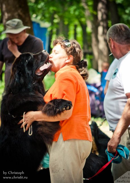 Фотография № 96086