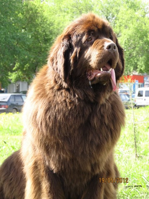 Фотография № 96087