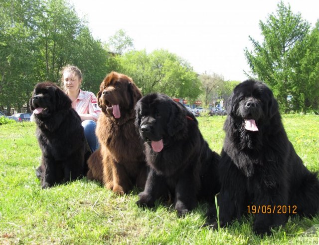 Фотография № 96099