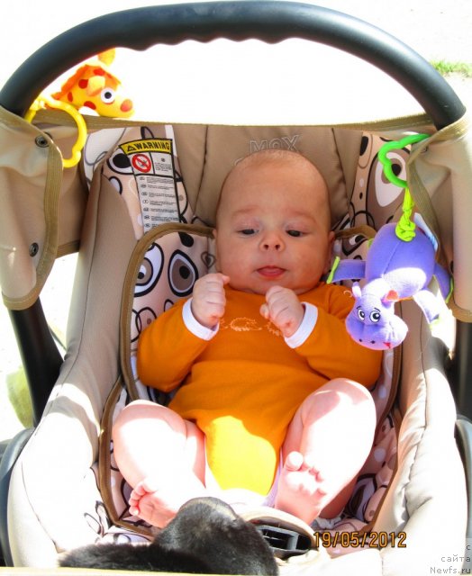 Фотография № 96170