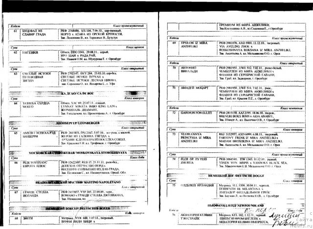 Фотография № 96176