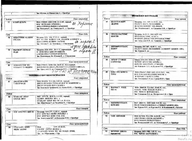 Фотография № 96177