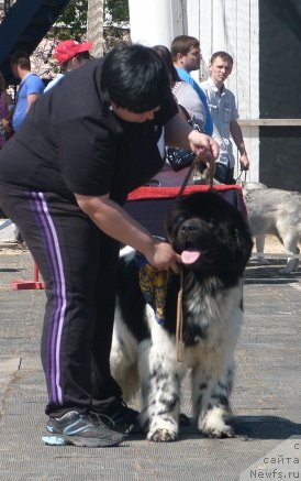 Фотография № 96179