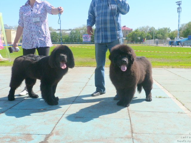 Фотография № 96180