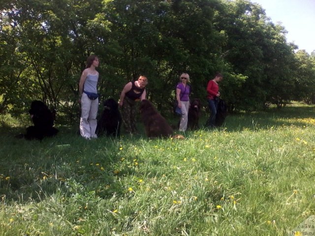 Фотография № 96186