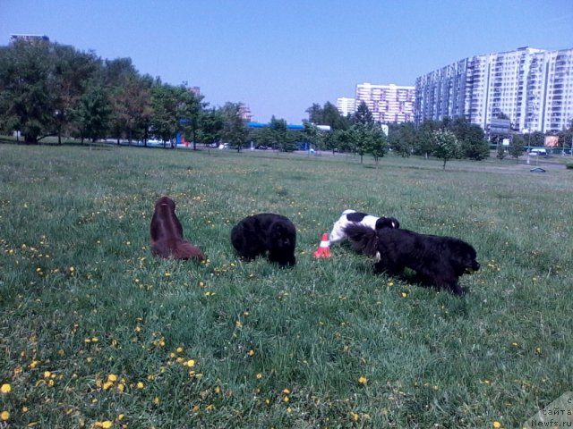 Фотография № 96191