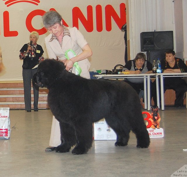 Фотография № 96198