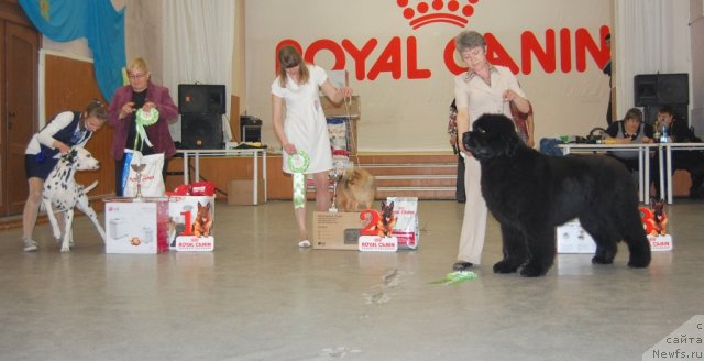 Фотография № 96199