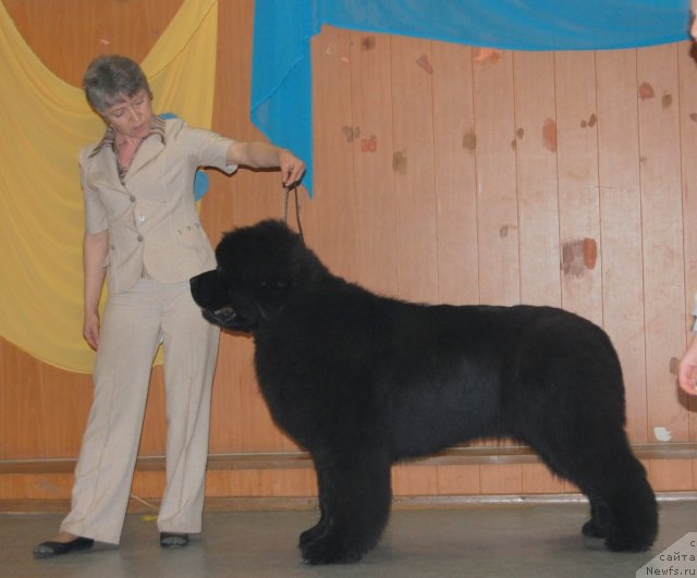 Фотография № 96200