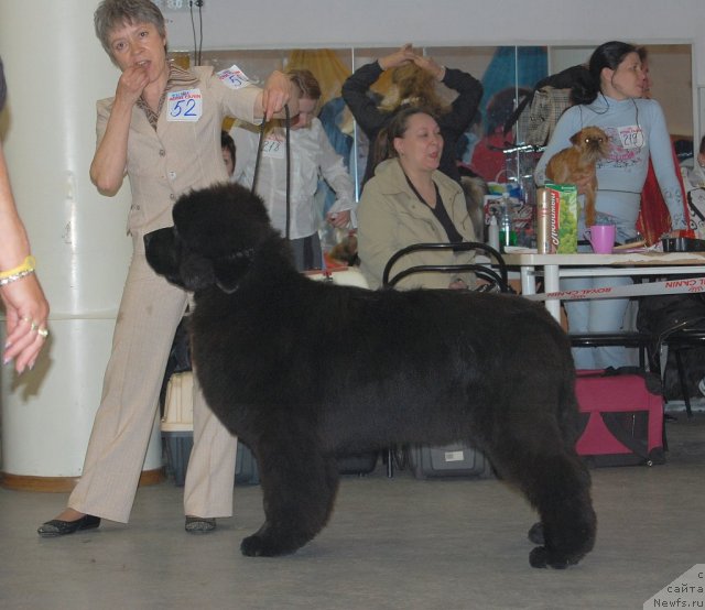 Фотография № 96201