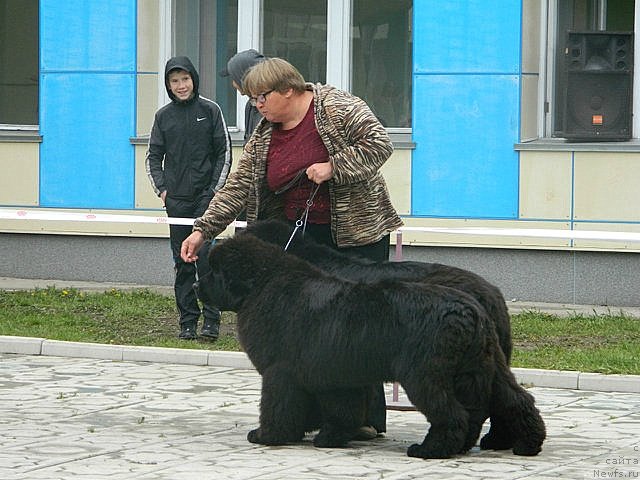 Фотография № 96202