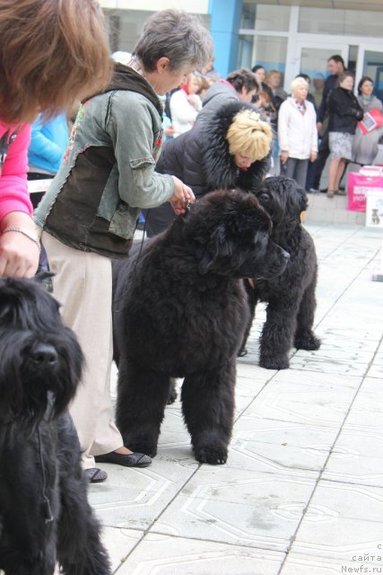 Фотография № 96203