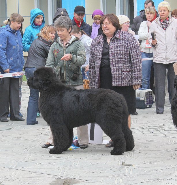 Фотография № 96204