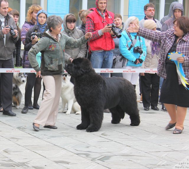 Фотография № 96205