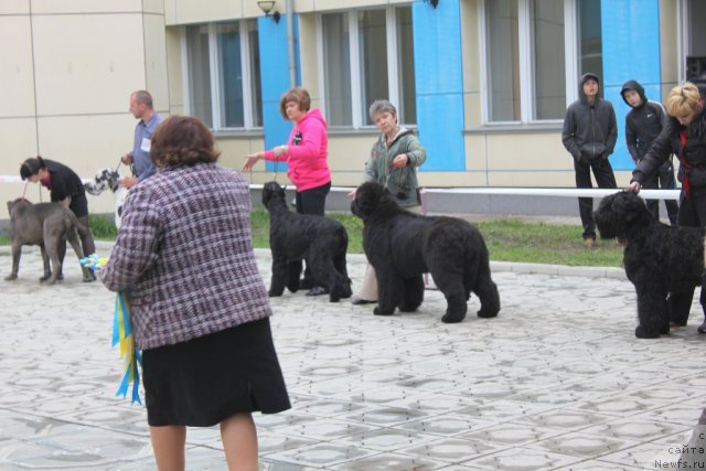 Фотография № 96207