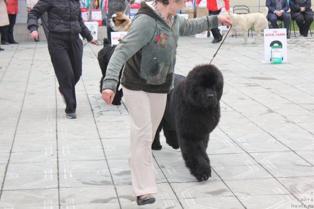 Фотография № 96208