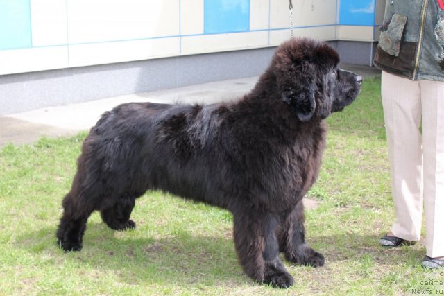 Фотография № 96213