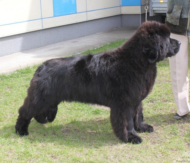 Фотография № 96215