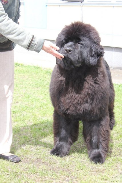 Фотография № 96221