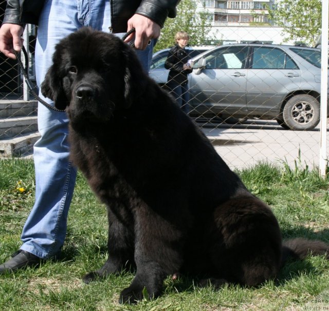 Фотография № 96233