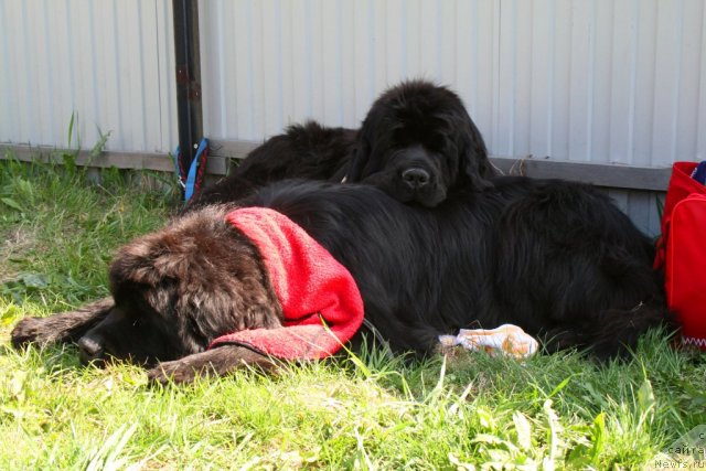 Фотография № 96234