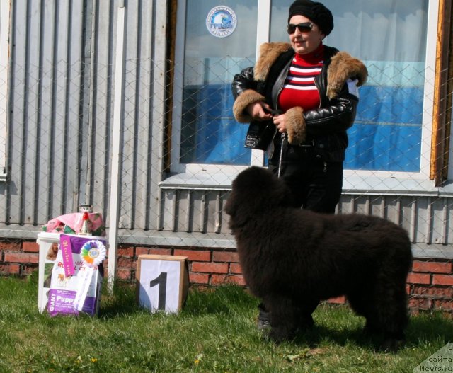 Фотография № 96242