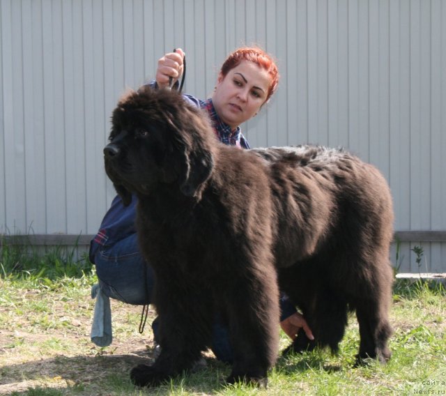 Фотография № 96245