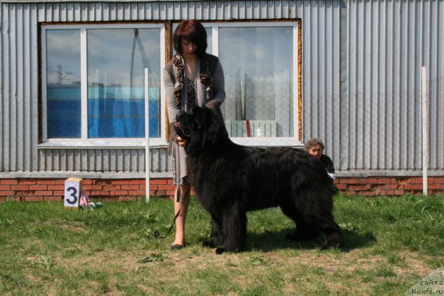 Фотография № 96248