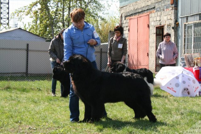 Фотография № 96249