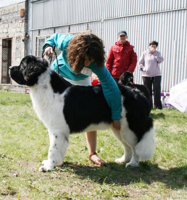 Фотография № 96271