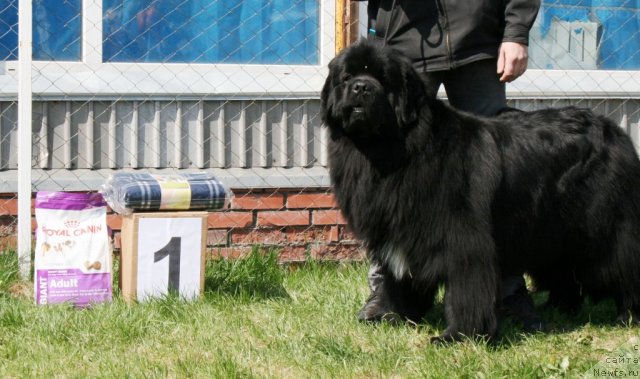 Фотография № 96280