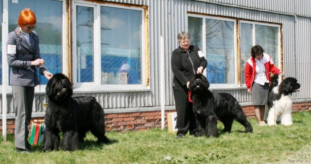 Фотография № 96283