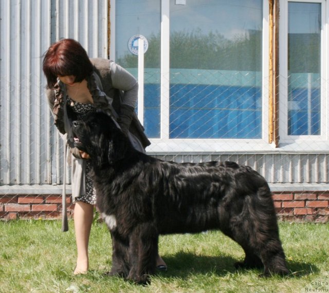 Фотография № 96284