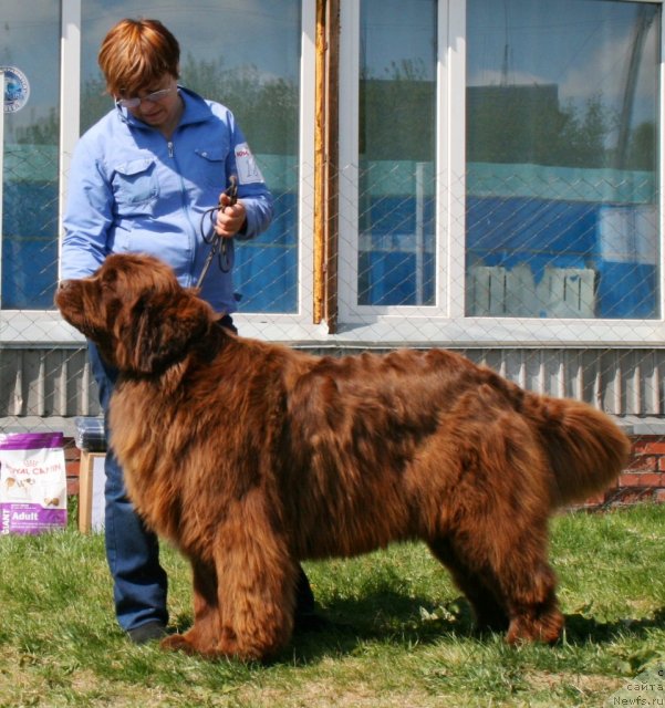 Фотография № 96285