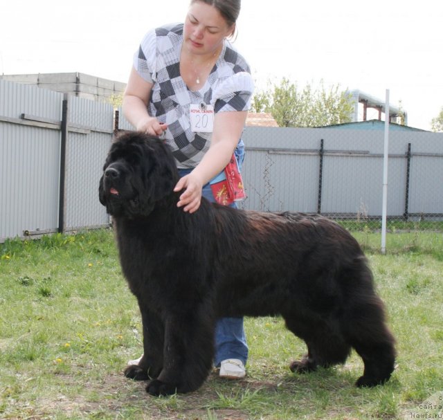 Фотография № 96287