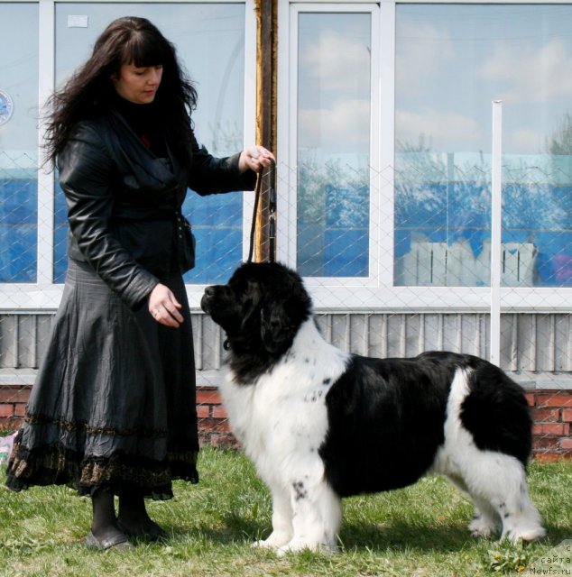 Фотография № 96290