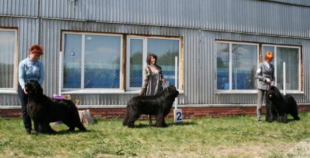 Фотография № 96292