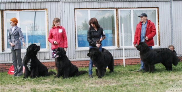 Фотография № 96299