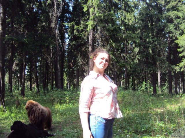 Фотография № 96301