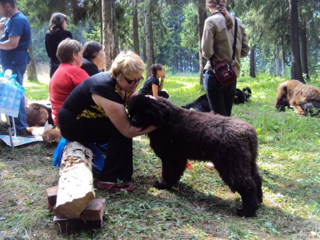 Фотография № 96306