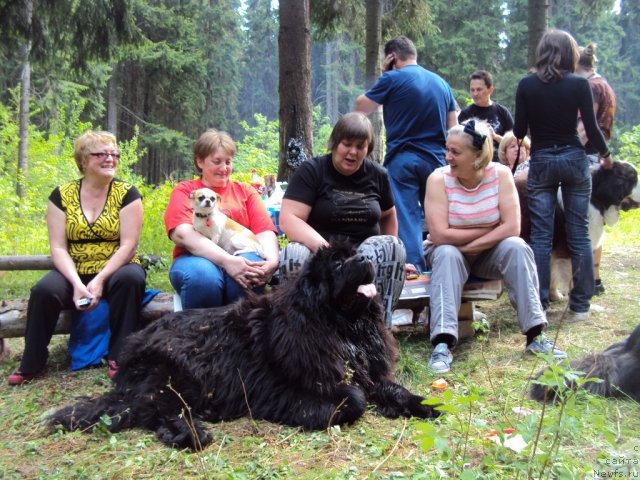 Фотография № 96307