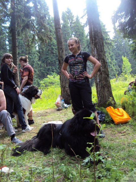 Фотография № 96308